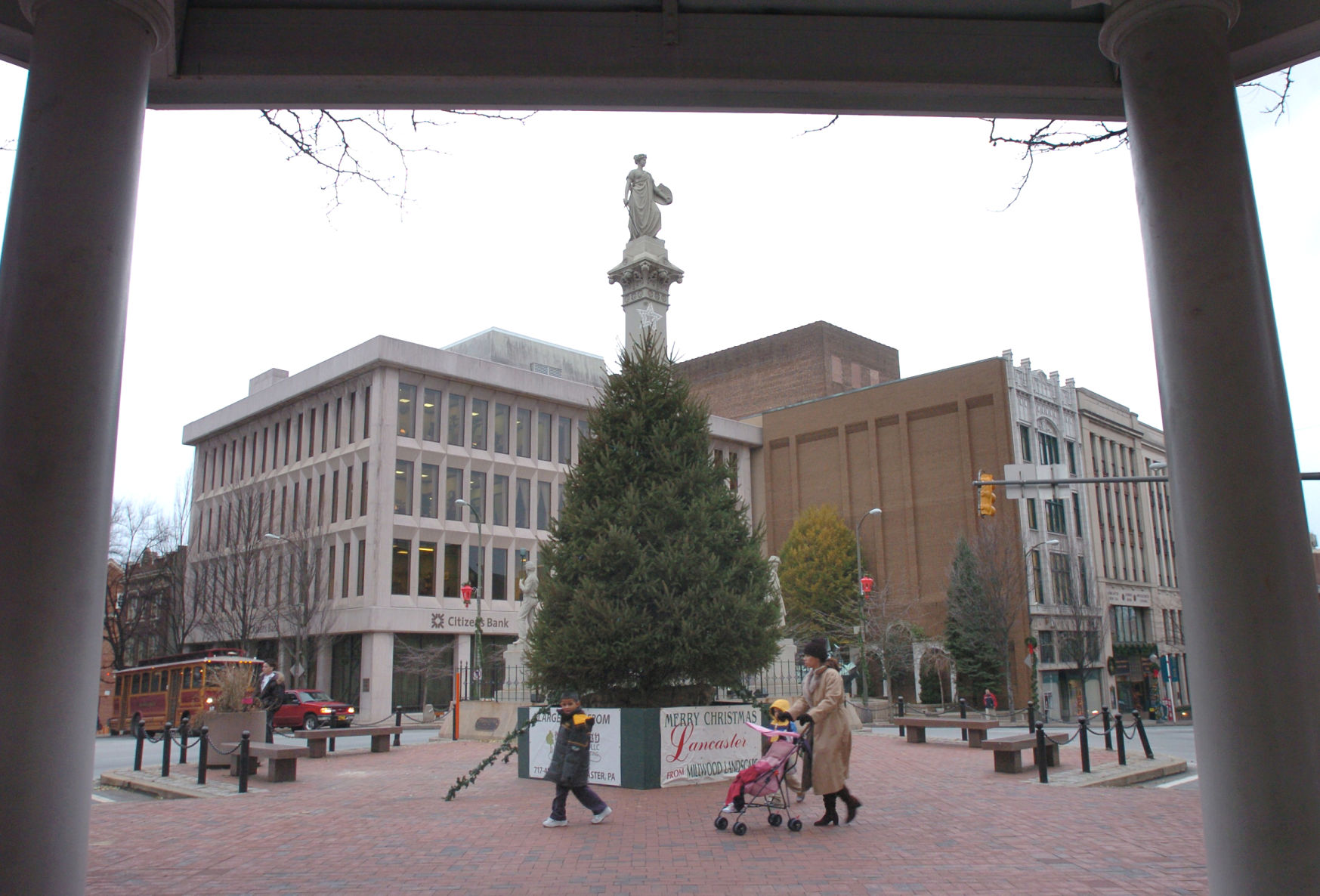 Christmas tree, 2007